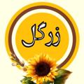 Logo saluran telegram hamkariipooshakzargoool — 👭همکاری پوشاک زَرگُل 😍
