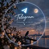 Telegram kanalining logotibi hammasiqalbdann — Dilimdagi soʻzlarim