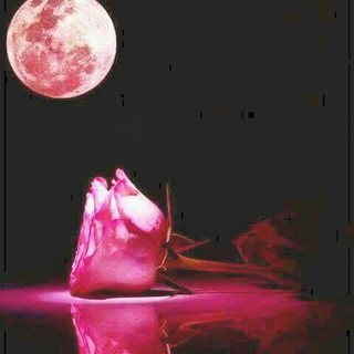 لوگوی کانال تلگرام hamssssssss — هےـِمِےـسًےـ🌹 ٱلَمِےـشّےـٱعَےـر💖