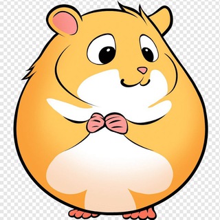 Логотип телеграм канала @hamssterr212ea — hamssterr212