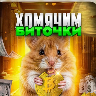 Логотип телеграм канала @hamster_btcs — Хомячим Биточки
