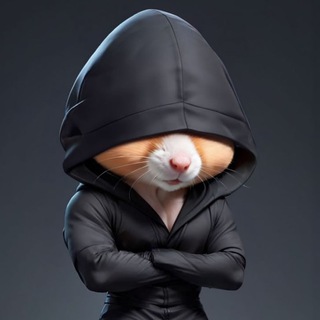 لوگوی کانال تلگرام hamster_toois — Hamster tooIs