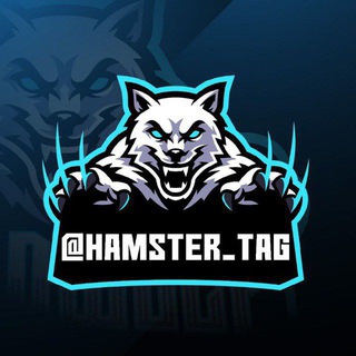 Logo saluran telegram hamster_traid — 🎲Hamster_tag | standoff 2🎲