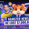 Logo saluran telegram hamster_kombat_06 — Hamster Kombat | Комбо Карты