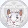 Логотип телеграм канала @hamsteraurora — 𝐡𝐚𝐦𝐬𝐭𝐞𝐫 𝐀𝐯𝐫𝐨𝐫𝐚🤍