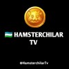 Telgraf kanalının logosu hamsterchilartv — 🇺🇿 HAMSTERCHILAR TV