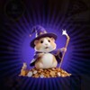 Логотип телеграм канала @hamstercombatcardsnow — Hamster combat КОМБО КАРТЫ