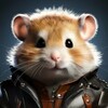 Логотип телеграм канала @hamstercombatnot — Хомяк коды, комбинации, друзья