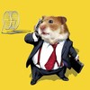 Logo of telegram channel hamsterinvestor — TradеToDay