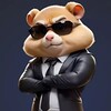 Логотип телеграм канала @hamsterkombatshifrkombo19 — Hamster kombat комбо и шифры