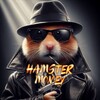 Logo of telegram channel hamsterkombattapearn — Hamster Kombat | DOGS | CATS | Musk Empire | Major Daily Combo   Tips And Tricks 🪬💎