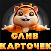 Логотип телеграм канала @hamsterksliv — Слив раздач НА TON