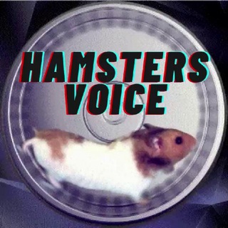 Логотип телеграм канала @hamsters_voice — 🐹Hamster's voice