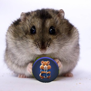 Логотип телеграм канала @hamstir_kombatop — хамстир комбат