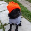 Логотип телеграм канала @hamusya_one_love — Хамуся и КО🧡