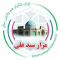 Logo saluran telegram hamvelayatisalam2016 — هـم‌ولایـتـے ســـلام