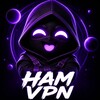 Логотип телеграм канала @hamvpn — HAMVPN 📟