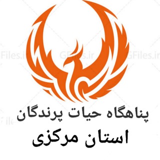 لوگوی کانال تلگرام hamyan_ir — انجمن حیات پرندگان مرکزی