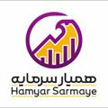 Logo saluran telegram hamyarsarmaye — Hamyarsarmaye