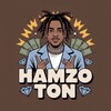 Логотип телеграм канала @hamzoton — Hamzo TON
