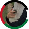 لوگوی کانال تلگرام hanafiyim_00 — Al.abyatun_