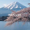 Логотип телеграм канала @hanami_market — HANAMI