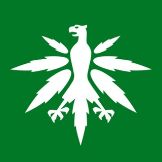 Telegram channel DHV - Hanfverband News logo