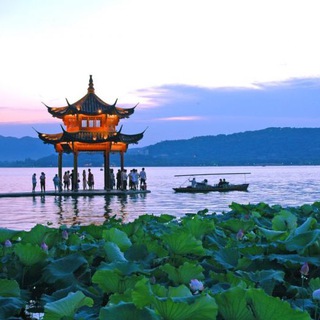 电报频道的标志 hangzhou_gk — 美食广场(验证区）