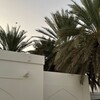 لوگوی کانال تلگرام hanifiyatusamha — الحنيفية السمحة