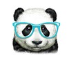 Логотип телеграм канала @happypanda_lp — Happy Panda | Люблинский парк