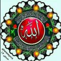 Logo saluran telegram harameyn14 — حرمین ۱۴😍