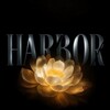 Логотип телеграм канала @harbor2gis2 — Harbor | 2гис