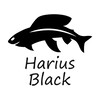 Логотип телеграм канала @hariusblack — Harius Black - льем приманки, разговариваем о рыбалке.