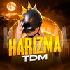 Логотип телеграм канала @harizma_tdm — Harizma TDM