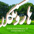Logo saluran telegram haronkola — هارونکلا