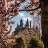 Логотип телеграм канала @harrypottermagicworldf — РЕСТ/Гарри Поттер||Волшебный мир