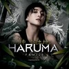 Логотип телеграм канала @haruma_fm — Haruma