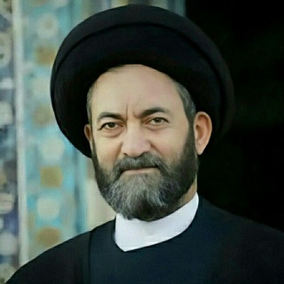 لوگوی کانال تلگرام hasan_ameli_ir — آیت الله سید حسن عاملی