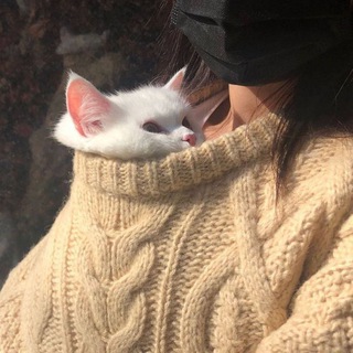 لوگوی کانال تلگرام hashraqo — حُــب ♡.