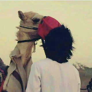 لوگوی کانال تلگرام hasm700 — `•الإ○ـبــﺮاطــور.•´ ∫• ‏" 💛🖇
