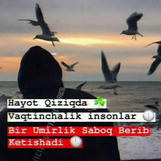 Telegram kanalining logotibi hasratim_buu — 𝚂𝚘'𝚗𝚐𝚒 𝚂𝚊𝚑𝚒𝚏𝚊𝚖☘️