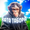 Логотип телеграм канала @hatatabora — Хата Табора