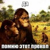 Telegram channel Пицца куница logo