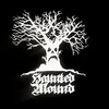 Логотип телеграм канала @hauntedmound_news — HAUNTED MOUND 𖣂