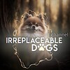 Logo of telegram channel hausdoggg — 𝐼𝑅𝑅𝐸𝑃𝐿𝐴𝐶𝐸𝐴𝐵𝐿𝐸 𝐷𝑂𝐺𝑆