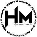 Logo saluran telegram havana_morffa — Havana Morffa ™