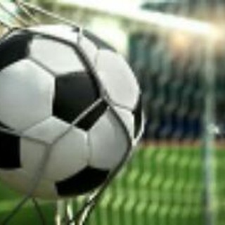 لوگوی کانال تلگرام havashiefootball — حواشی فوتبال ⚽️ 🇮🇷