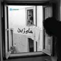 لوگوی کانال تلگرام havxin — هاوژین ؛