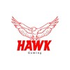 Логотип телеграм канала @hawkgaming — нᴀwκ - ԍᴀмιɴԍ sтoʀᴇ