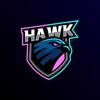 Логотип телеграм канала @hawkkkkkkh — HAWK